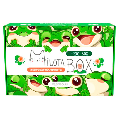 Подарочный набор MilotaBox Frog Box iLikeGift MB141 1